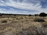 519 Highway 603 - Photo 102