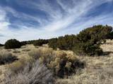 519 Highway 603 - Photo 107