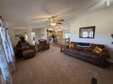 519 Highway 603 - Photo 35