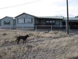 519 Highway 603 - Photo 87
