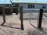 519 Highway 603 - Photo 98