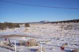 519 Highway 603 - Photo 99