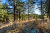 94 Escondido - Photo 46