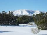 12 Elk Road - Photo 3