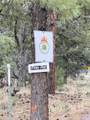 9 Cochise Drive - Photo 73