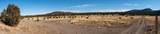 250 Frontier Trail - Photo 10