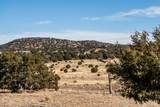 250 Frontier Trail - Photo 6