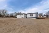 503 Irene Avenue - Photo 4