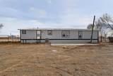 503 Irene Avenue - Photo 49