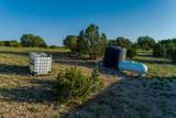 4221 Palo Amarillo Road - Photo 29