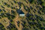 4221 Palo Amarillo Road - Photo 30