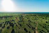 4221 Palo Amarillo Road - Photo 36