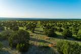 4221 Palo Amarillo Road - Photo 40