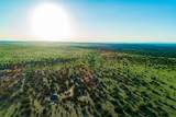 4221 Palo Amarillo Road - Photo 42