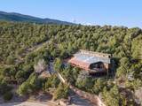 35 Manana Drive - Photo 64