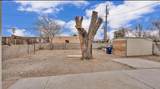 1144 Buena Vista Drive - Photo 17