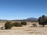 41 Horseshoe Loop - Photo 21