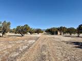 41 Horseshoe Loop - Photo 23
