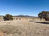 41 Horseshoe Loop - Photo 24