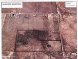  C. Del Sol A081/Mulberry A146 - Photo 7