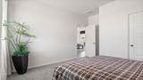 10509 Tinaja Way - Photo 25
