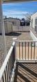 11621 Wild Horse Trail - Photo 14