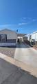 11621 Wild Horse Trail - Photo 8