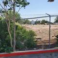 1401 Yale Boulevard - Photo 3