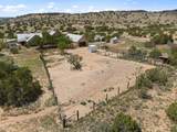 794 Camino Los Abuelos - Photo 49