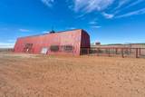 99 Pauline Road - Photo 12