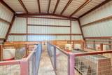 99 Pauline Road - Photo 14