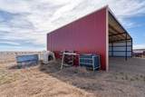 99 Pauline Road - Photo 35