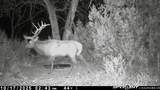 252 County Rd 156 - Photo 25