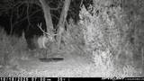 252 County Rd 156 - Photo 9