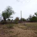 401-413 Eastwood Loop - Photo 7