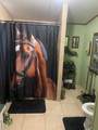 9301 Volcano Road - Photo 10