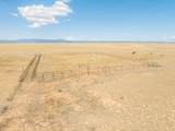 100 Bluegrass S Road - Photo 40
