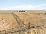 100 Bluegrass S Road - Photo 41