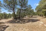4 Brandy Court - Photo 36