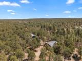 4 Brandy Court - Photo 39
