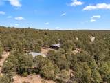 4 Brandy Court - Photo 40