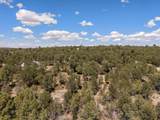 4 Brandy Court - Photo 41
