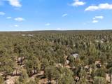 4 Brandy Court - Photo 43
