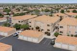 6800 Vista Del Norte Road - Photo 41