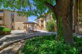 3833 Montgomery Boulevard - Photo 18