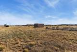 35 Tyler Loop - Photo 42
