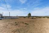 35 Tyler Loop - Photo 48