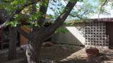 111 University Boulevard - Photo 71