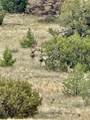 132 Dark Canyon Road - Photo 65