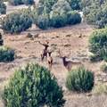 132 Dark Canyon Road - Photo 67